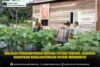 Melalui Pendampingan kepada Petani Terong, Babinsa Harapkan Kesejahteraan Petani Meningkat