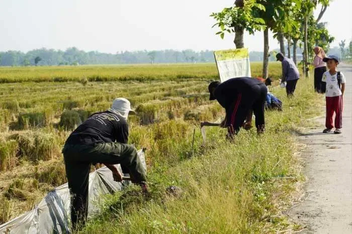 Pembinaan Lingkungan Hidup, Kodim Bojonegoro Tanam Ribuan Pohon Kayu Putih dan Balsa