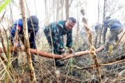 1002484615 Api Belum Usai Perjuangan Berlanjut, Satgas Irigasi Lanud Sjamsudin Noor Terus Perkuat Upaya Padamkan Karhutla Kalsel Optimalkan Air Hingga Dinginkan Lahan Gambut
