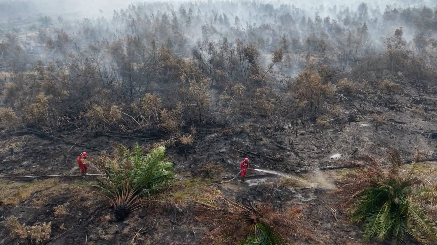 Upaya Pemadaman Kebakaran Hutan dan Lahan di Ogan Komering Ilir Upaya Pemadaman Kebakaran Hutan dan Lahan di Ogan Komering Ilir