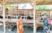 IMG-20260808-WA0001 TMMD 129 Bojonegoro: Babinsa Kesongo 'Sentuh Hati' Peternak Kambing