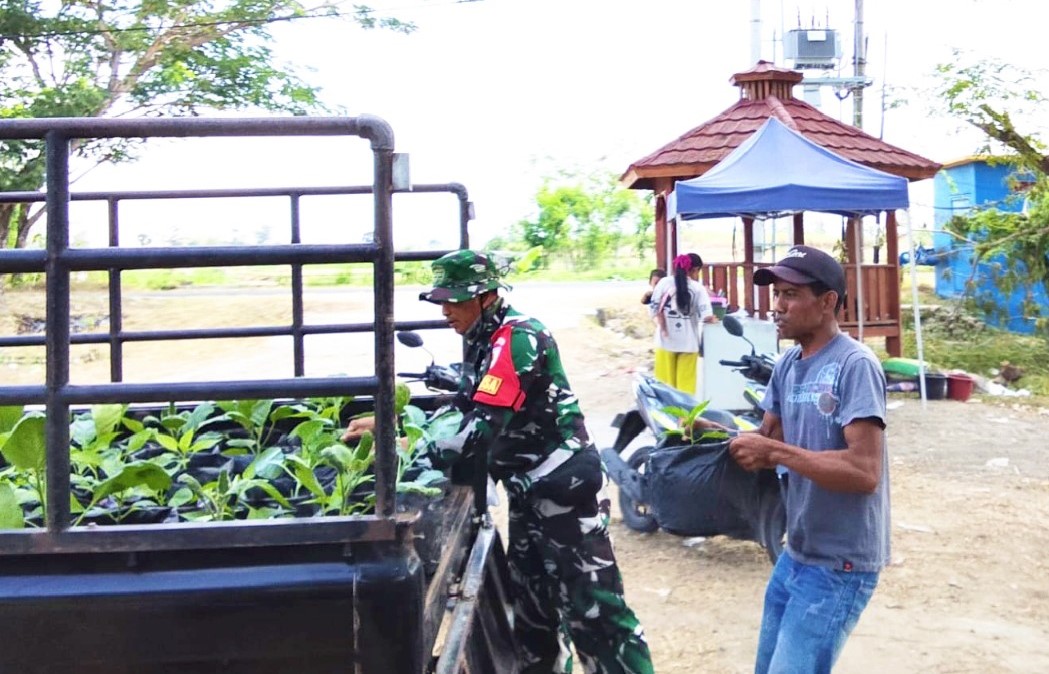IMG-20260808-WA0006 Perkuat Ketahanan Pangan: Satgas TMMD 129 Bojonegoro Pasok Ratusan Bibit Sayuran untuk Warga Kesongo