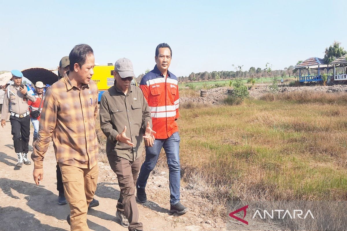 Perlunya Perbaikan Tata Ruang untuk Cegah Karhutla Berulang