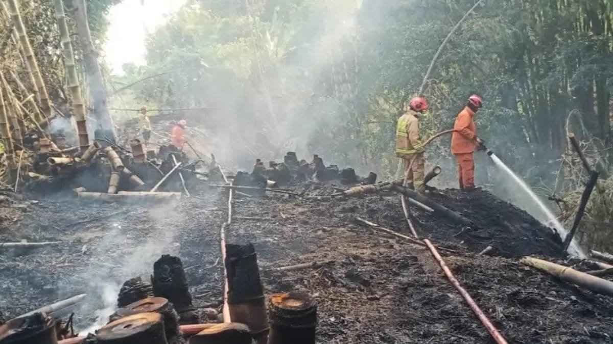 Peningkatan Jumlah Tersangka Karhutla di Bareskrim