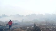 Mengatasi Karhutla di Kalimantan: Pendekatan yang Tepat