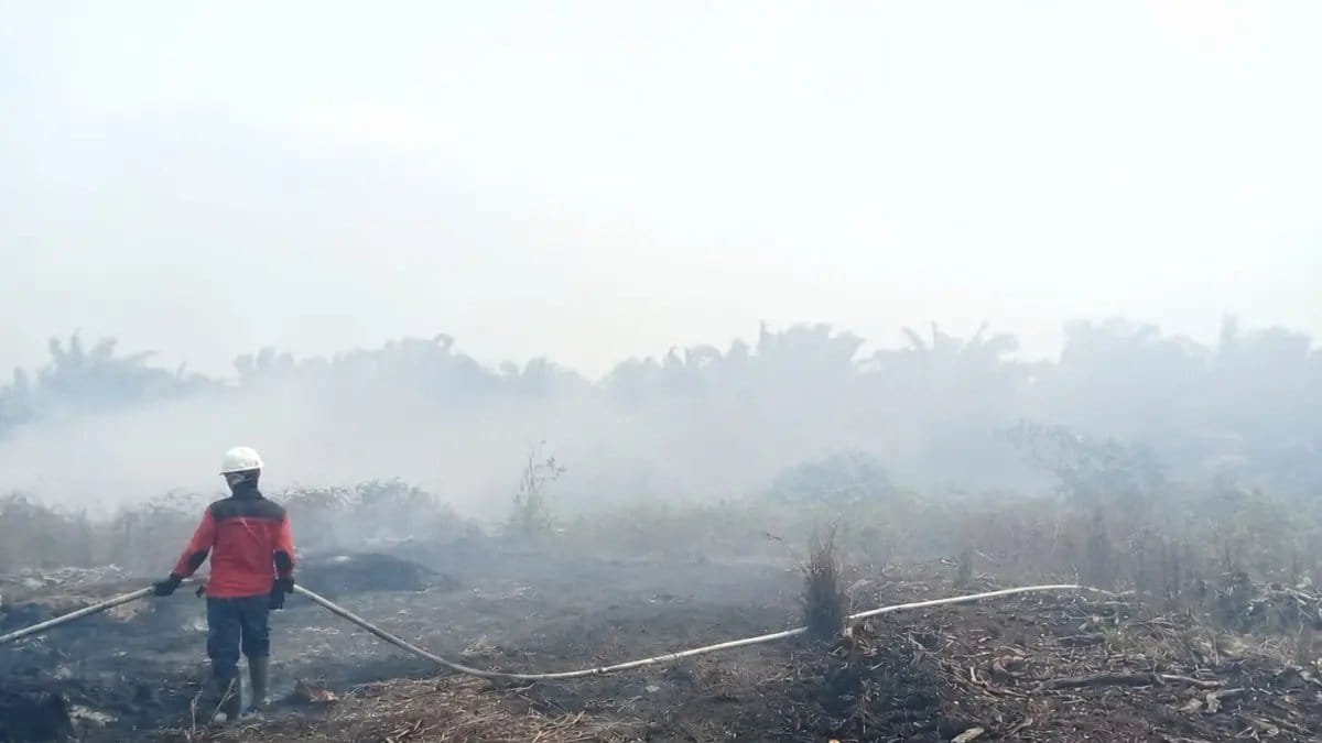 Mengatasi Karhutla di Kalimantan: Pendekatan yang Tepat