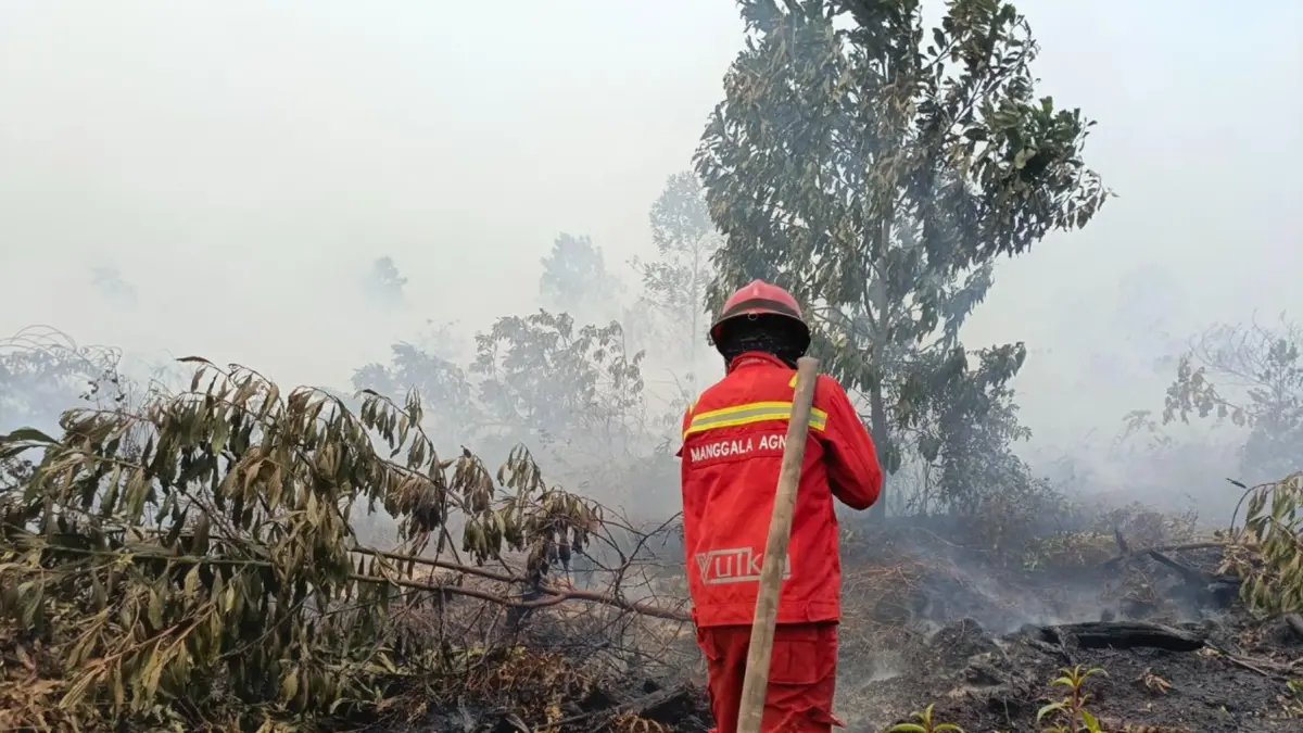 Kenaikan Hotspot Kebakaran Hutan di Kalimantan Barat dan Tengah