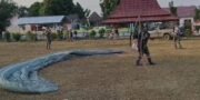 Cegah Karhutla Sejak Dini, TNI Intensifkan Patroli Udara di Taman Nasional Way Kambas