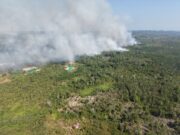Respons Cepat Karhutla Dekat IKN, TNI Gerakkan Helikopter Caracal untuk Water Bombing
