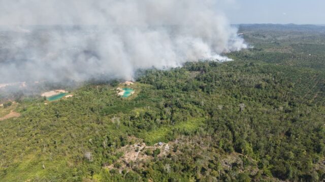 Respons Cepat Karhutla Dekat IKN, TNI Gerakkan Helikopter Caracal untuk Water Bombing