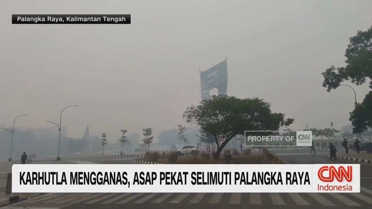 Kondisi Lingkungan di Palangka Raya Akibat Karhutla