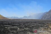 Investigasi Dugaan Pidana Karhutla di Gunung Bromo