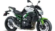 Warna Baru Kawasaki Z650 S dan Z900 Model 2027