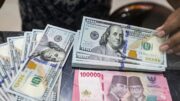 Kebutuhan Perlindungan Berbasis Dolar AS Meningkat di Tengah Perubahan Ekonomi Global