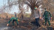 Pencegahan Kebakaran Hutan dan Lahan di Riau Pasca Kebakaran Besar
