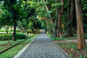 Menikmati Malam Jakarta: 5 Taman 24 Jam untuk Relaksasi