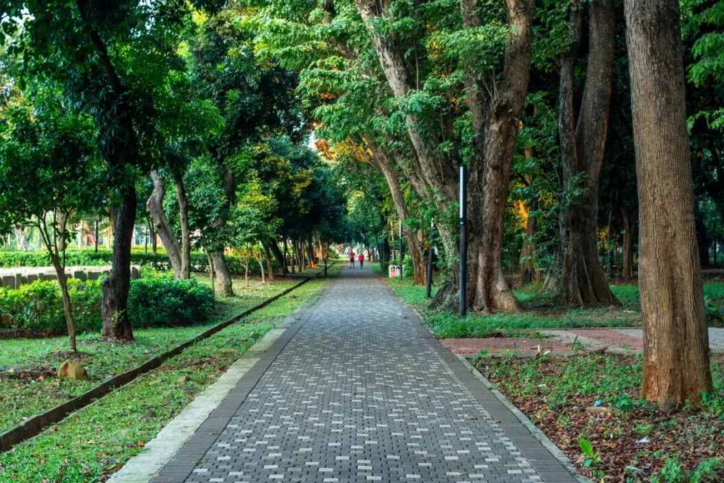 Menikmati Malam Jakarta: 5 Taman 24 Jam untuk Relaksasi