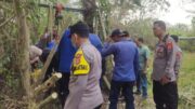 Evakuasi Dramatis Kerbau Betina dari Sumur Tua 11 Meter