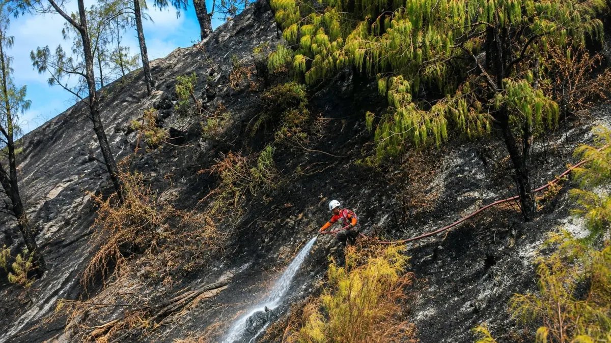 Upaya Pemadaman Karhutla di Gunung Bromo