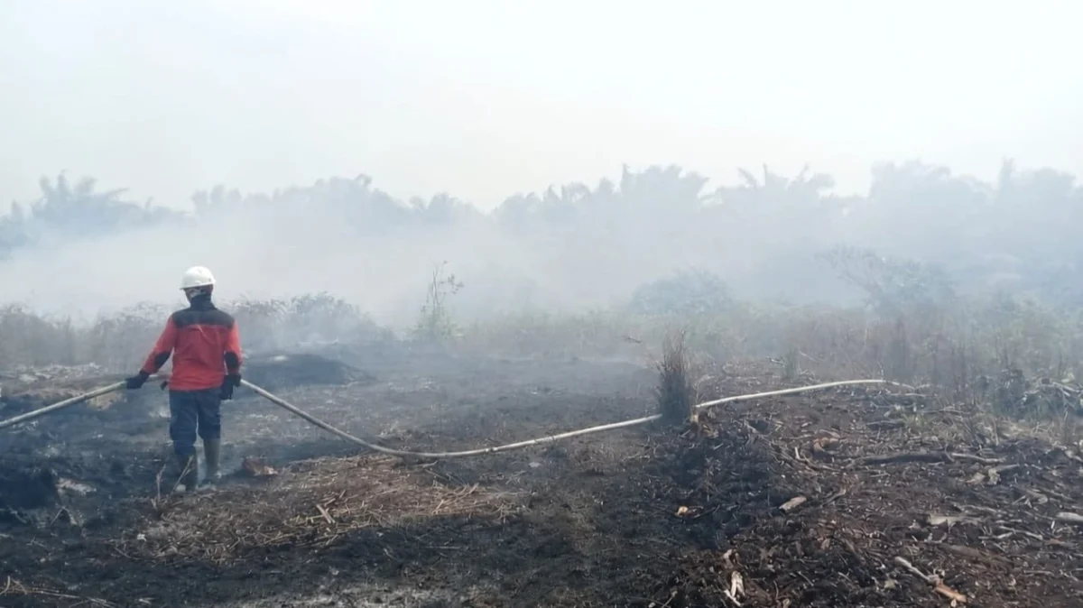 Upaya Intensif Penanganan Kebakaran Hutan dan Lahan