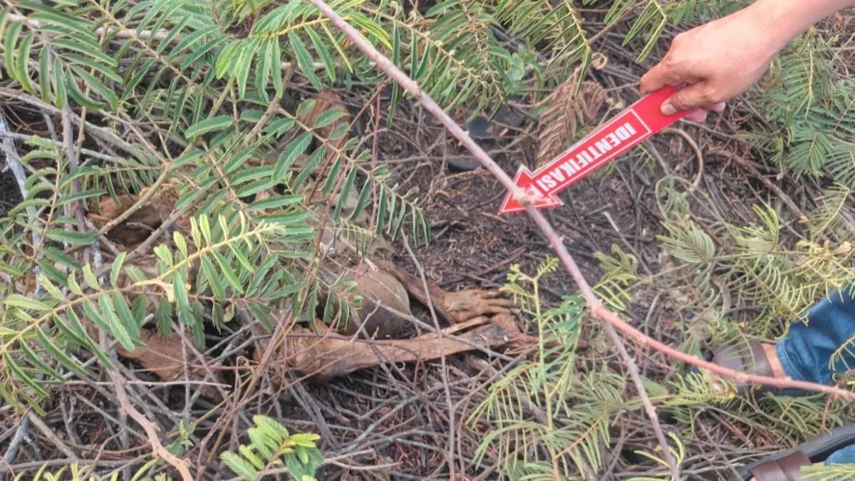 Penemuan Kerangka Manusia di Pasar Kemis: Misteri yang Menggemparkan Warga