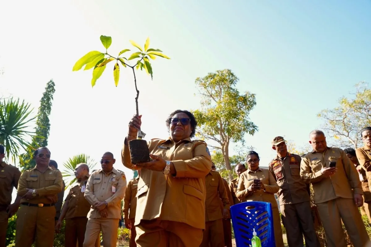 Gerakan Penghijauan di Nusa Tenggara Timur