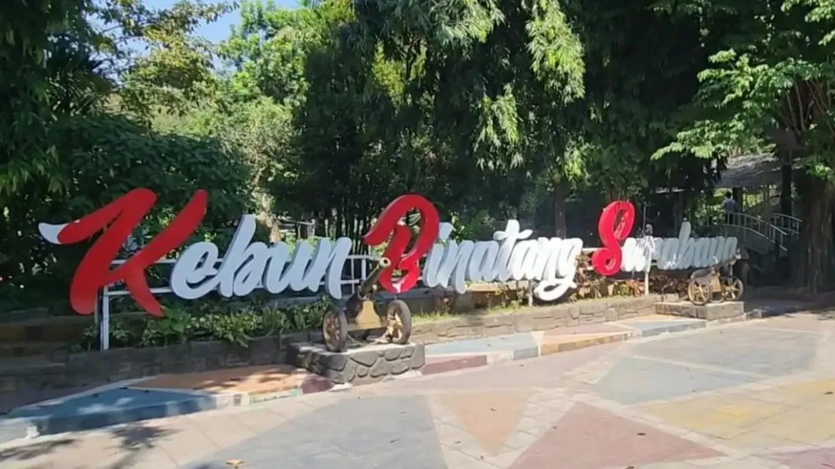 Pendaftaran Direksi Baru BUMD Surabaya Diperpanjang Hingga Oktober Pendaftaran Direksi Baru BUMD Surabaya Diperpanjang Hingga Oktober