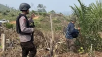 Upaya Kementerian Kehutanan Mengatasi Kerusakan Hutan di Bengkulu