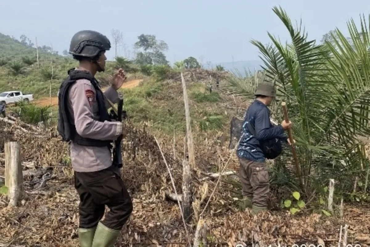Upaya Kementerian Kehutanan Mengatasi Kerusakan Hutan di Bengkulu