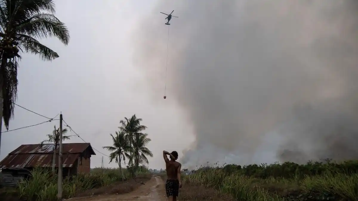 Asap Karhutla Kalimantan Diduga Membuat Udara Makassar Kurang Sehat