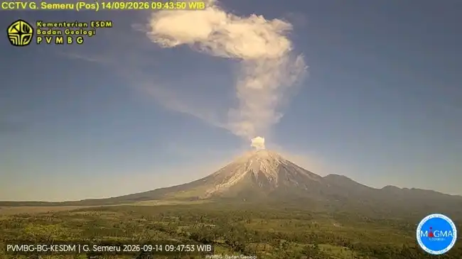 Semeru Kembali Erupsi, Status Gunung Api Berada di Level III Siaga Semeru Kembali Erupsi, Status Gunung Api Berada di Level III Siaga