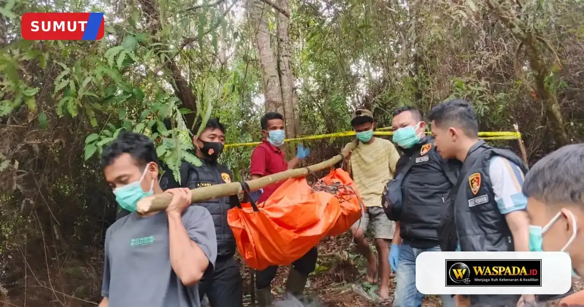 Pencarian Hampir Dua Pekan Berakhir, Pria 27 Tahun Ditemukan di Kebun Warga Batang Toru