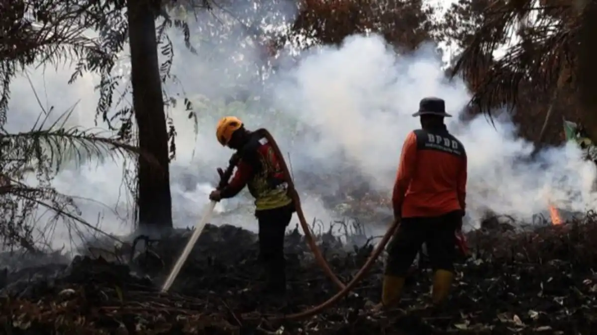 Kemenhut Perkuat Operasi Karhutla di Tanjung Puting di Tengah Kendala Kabut Asap