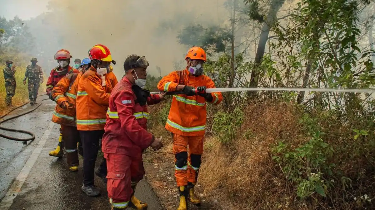 Dua Korban Luka Kebakaran di Bromo Dirujuk untuk Operasi di Surabaya