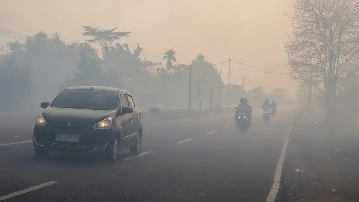 BMKG Prakirakan Hujan di Sejumlah Daerah Indonesia, Kalimantan Termasuk yang Berpotensi Diguyur BMKG Prakirakan Hujan di Sejumlah Daerah Indonesia, Kalimantan Termasuk yang Berpotensi Diguyur