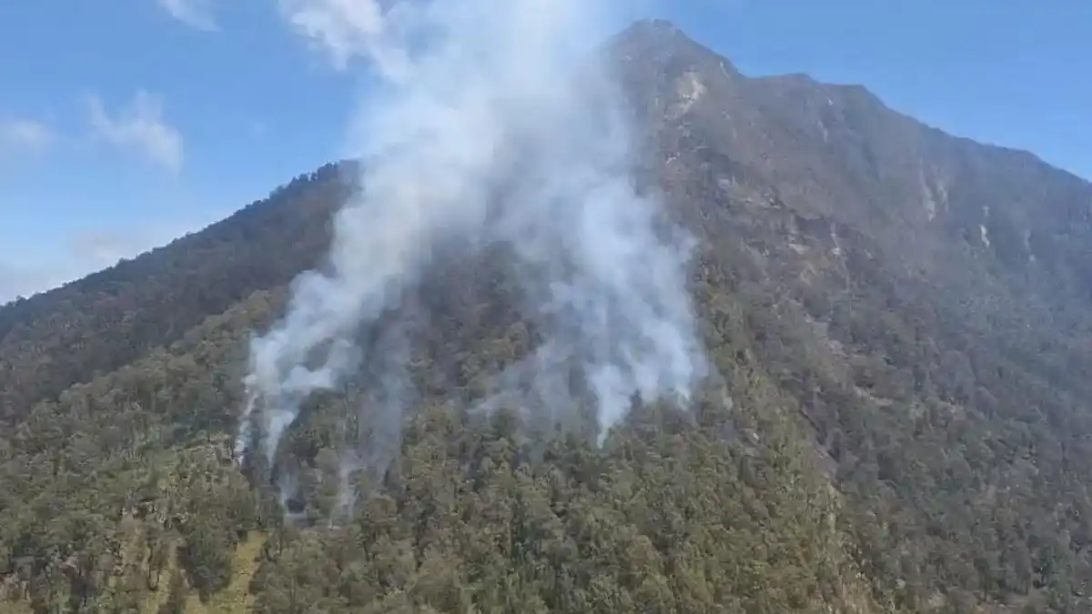 Kebakaran Kembali Terjadi di Gunung Arjuno, Tim Tahura dan BPBD Bergerak Kebakaran Kembali Terjadi di Gunung Arjuno, Tim Tahura dan BPBD Bergerak