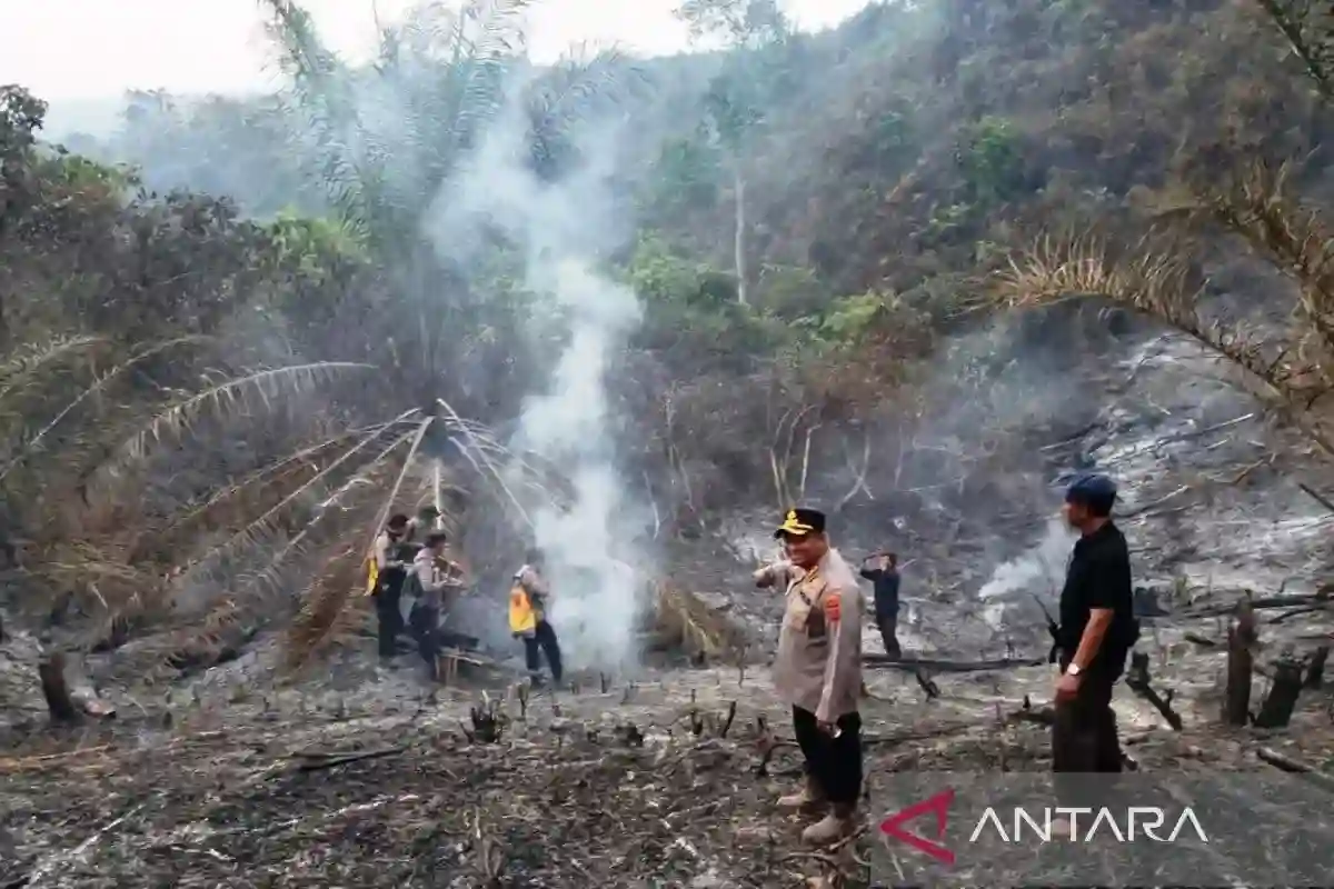 Penanganan Karhutla dan Desakan Penindakan Korporasi Penanganan Karhutla dan Desakan Penindakan Korporasi