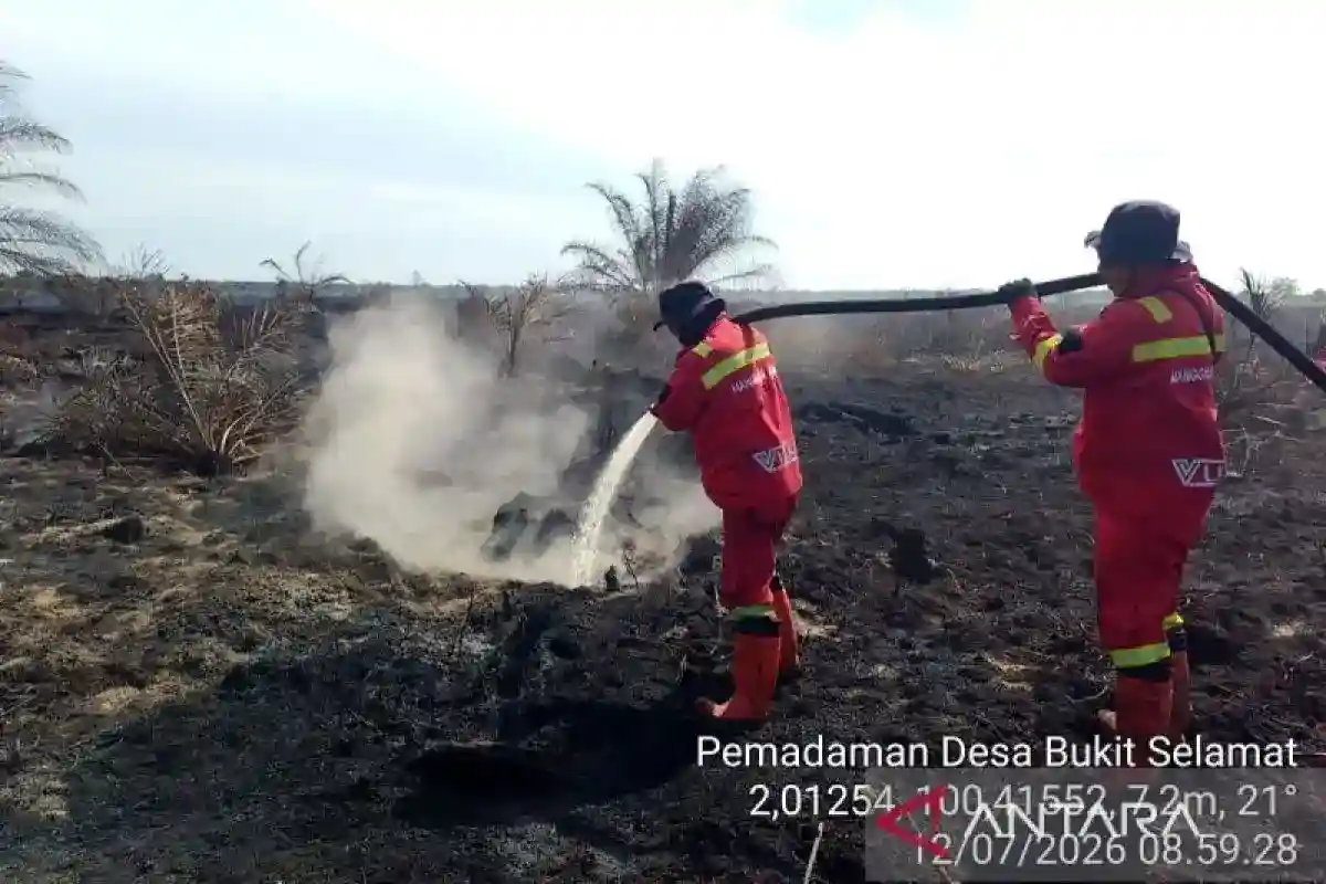 BNPB Catat Pemadaman Karhutla di Enam Provinsi Sumatera dan Kalimantan