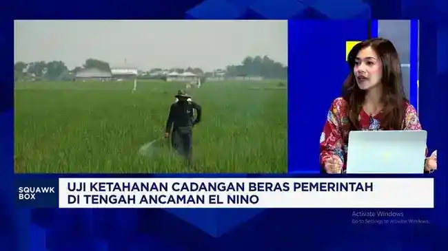 Cadangan Beras Pemerintah Capai 4,8 Juta Ton pada September 2026 Cadangan Beras Pemerintah Capai 4,8 Juta Ton pada September 2026