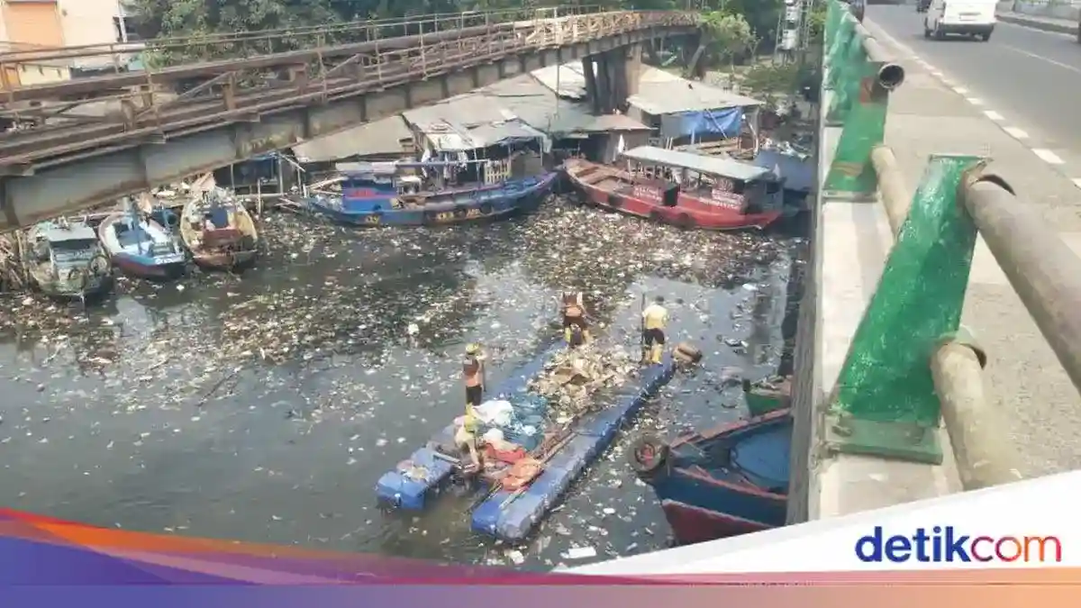 Sampah Menumpuk di Kali Cakung Drain, DLH DKI Angkut Sekitar 8 Meter Kubik Sampah Menumpuk di Kali Cakung Drain, DLH DKI Angkut Sekitar 8 Meter Kubik